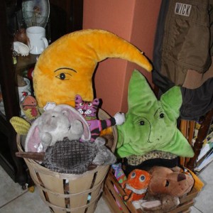 dog toys