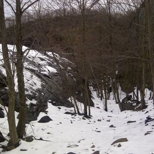 Whaleback04