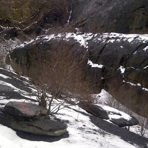 Whaleback08