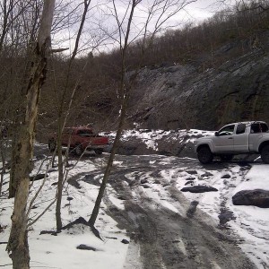 Whaleback11