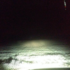 D2 lighting up a field