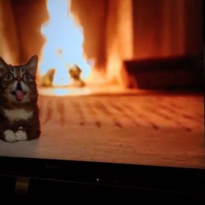 Little bub. The best Christmas fire video there is.