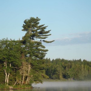 P8080730