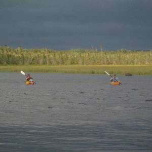 P8050649