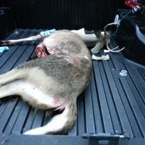 Finally got one