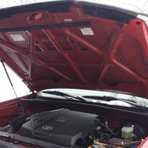 Redline hood struts
