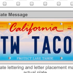 TW plate
