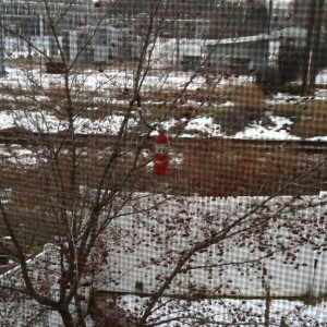 I just looked out the upstairs window and saw this fire extinguisher....fro