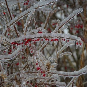 ice_2