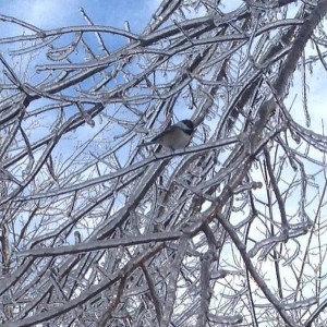 ice_9