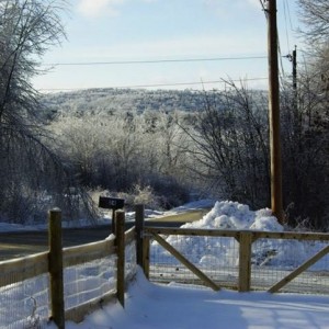ice_8