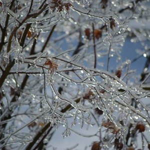 ice_7