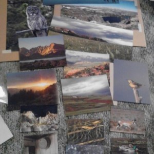 They came! They're here! :woot: