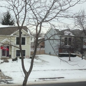 Got some die hard OSU fans across the street. Wonder how they're holdi