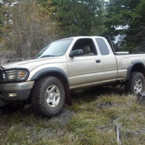 Flexing on the Rocks