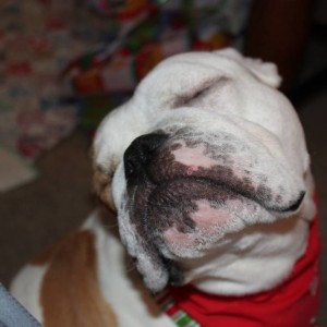 bently