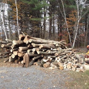 Firewood