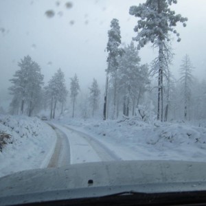 Big Bear 11-23-13