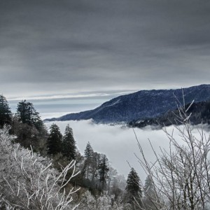 DSC_4715_HDR