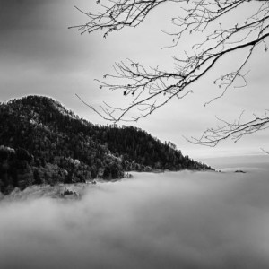 BWDSC_4692_HDR-2