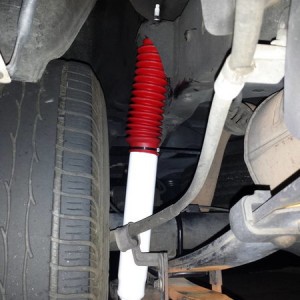 Rear Shocks