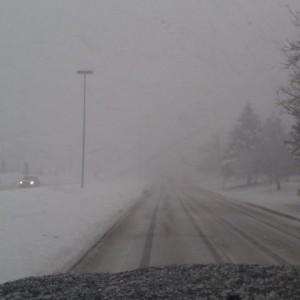 Too much damn snow.