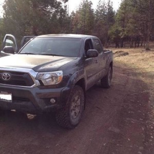 In the Siskiyou Mountains