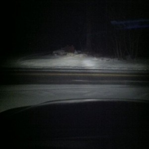 Fresh pow