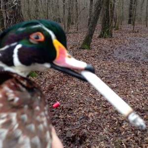 I got smoked.