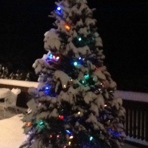 My colored light tree in the snow.....beautiful