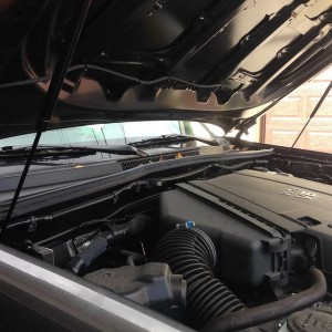 Redline_hood_struts_2_