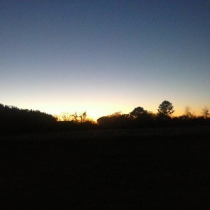 sitin by the fire watchin ducks and geese