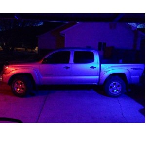 My Taco