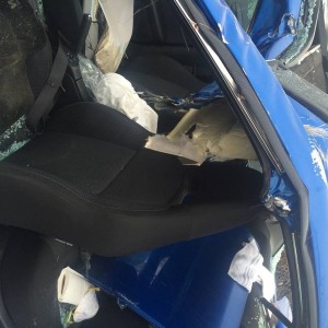 mose vs car