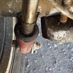 rear shocks