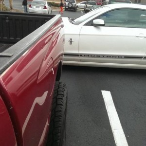 Stupid_Mustang1