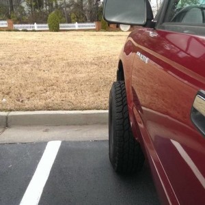 Stupid_Mustang_2_