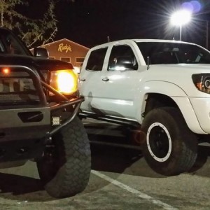 Raptor LEDs