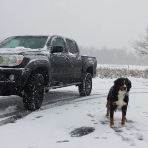 My truck and dog in the snow