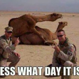 hump-day-camel-us-soldiers-wednesday