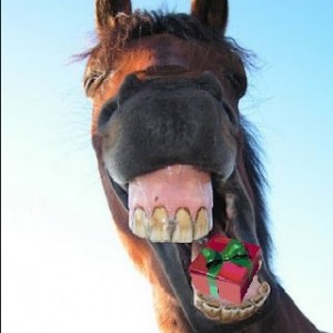 horse1