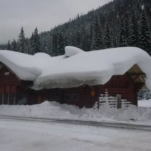 Glacier Statio CPR