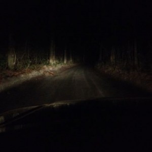 12 miles on odometer