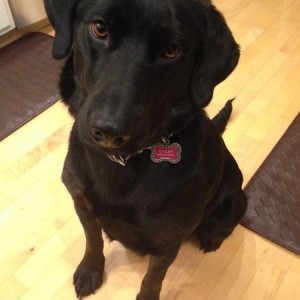 Bailey