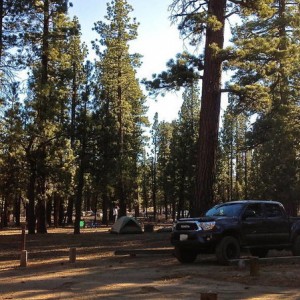 Holcomb Valley campground