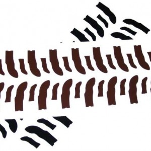 boggertread0