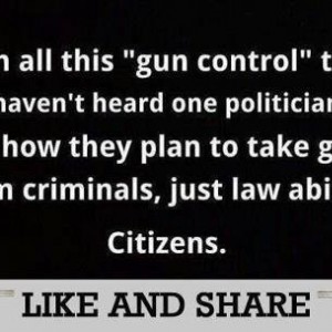 gun_control1