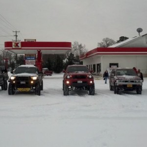 Tidewater Tits!
