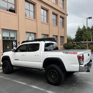 Grifols Tacoma