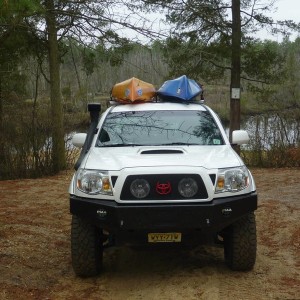 Yak_Ats_beaver_001